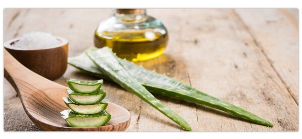 Slika - Aloe vera (120x50 cm)