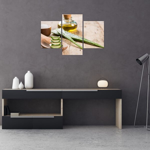 Slika - Aloe vera (90x60 cm)