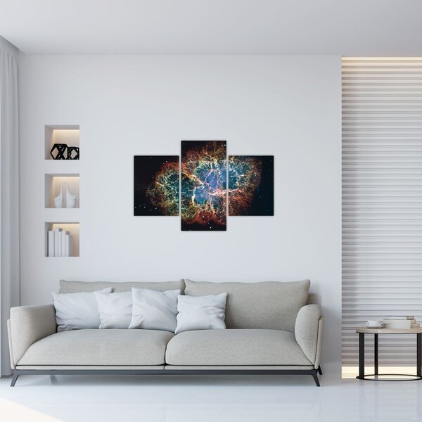Slika - Rakova maglica (90x60 cm)