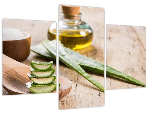 Slika - Aloe vera (90x60 cm)
