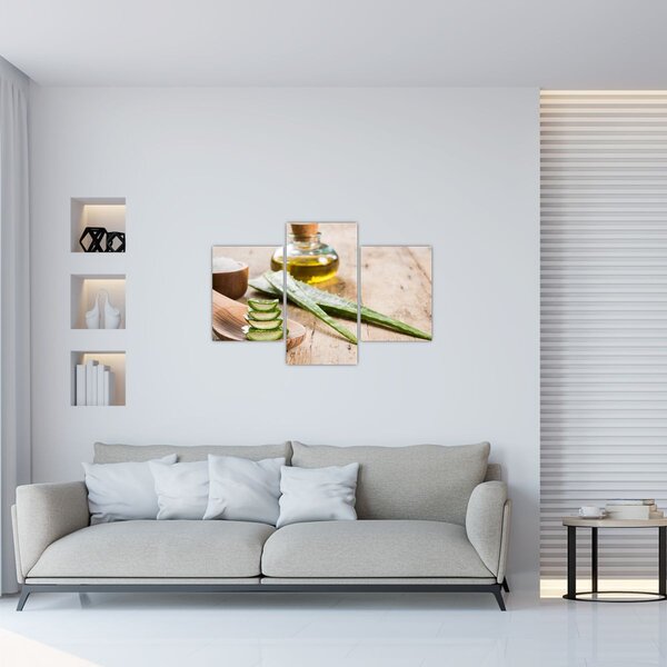 Slika - Aloe vera (90x60 cm)