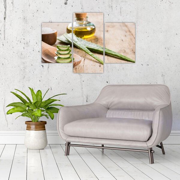Slika - Aloe vera (90x60 cm)