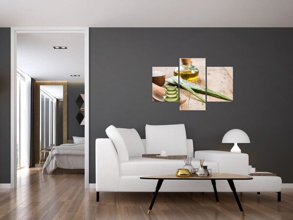 Slika - Aloe vera (90x60 cm)