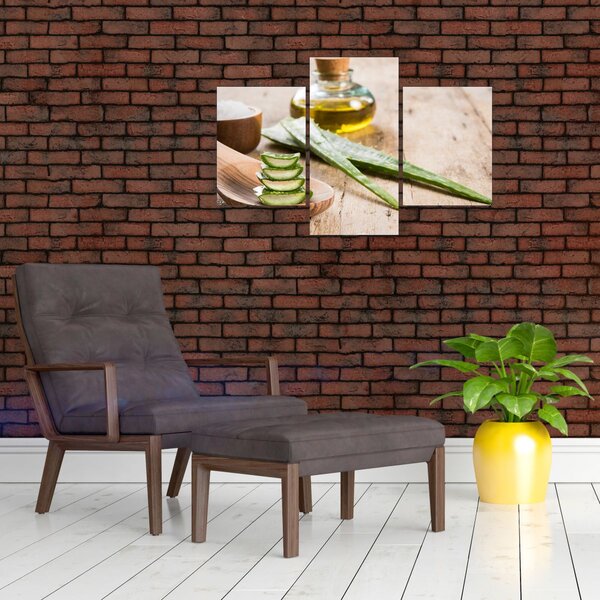 Slika - Aloe vera (90x60 cm)