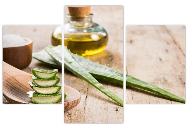 Slika - Aloe vera (90x60 cm)