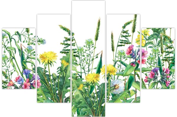 Slika - Slikano livadsko cvijeće (150x105 cm)