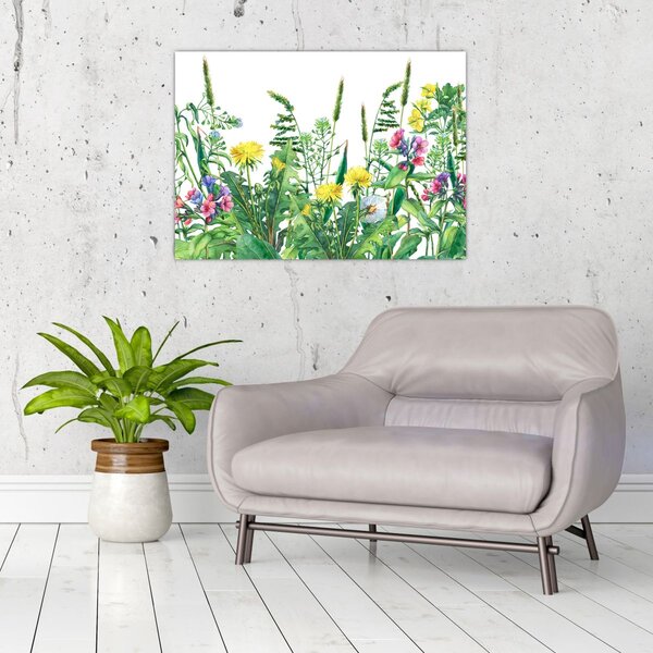 Slika - Slikano livadsko cvijeće (70x50 cm)