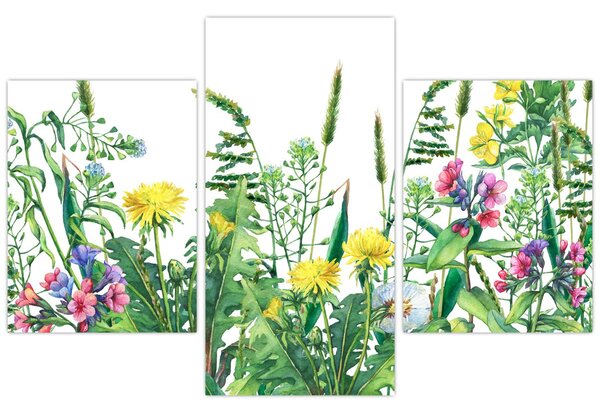 Slika - Slikano livadsko cvijeće (90x60 cm)