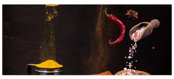 Slika - Začini u pokretu (120x50 cm)