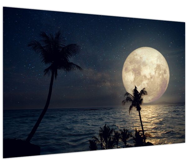 Slika - Plaža s punim mjesecom (90x60 cm)
