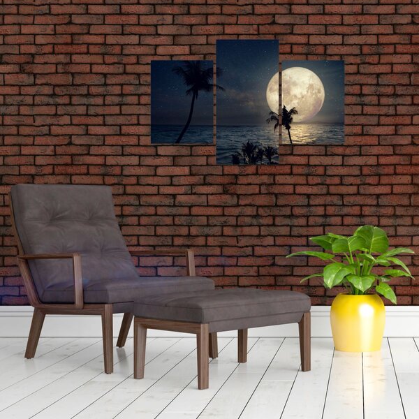 Slika - Plaža s punim mjesecom (90x60 cm)
