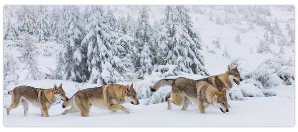Slika - Vukovi u planinama (120x50 cm)