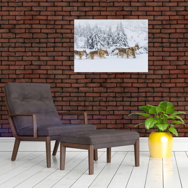 Staklena slika - Vukovi u planinama (70x50 cm)