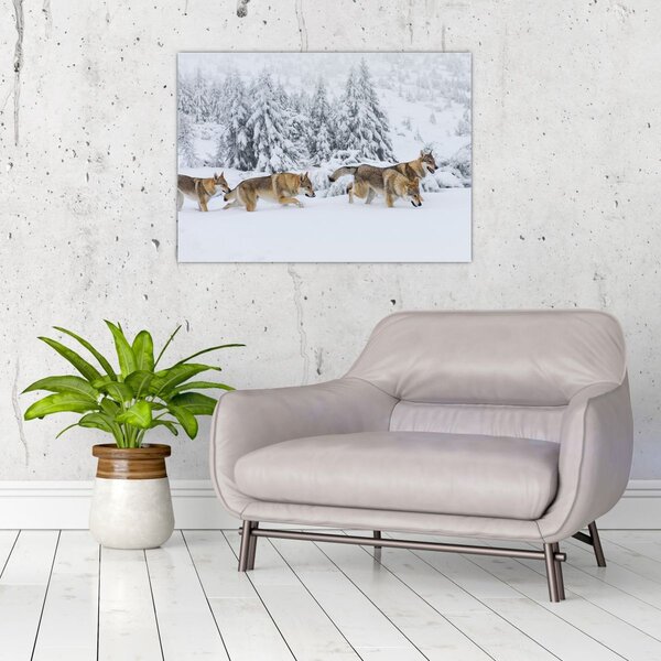 Staklena slika - Vukovi u planinama (70x50 cm)