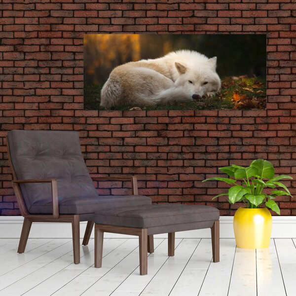 Slika - Vuk koji se odmara (120x50 cm)