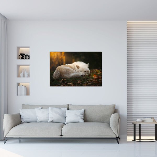 Slika - Vuk koji se odmara (90x60 cm)