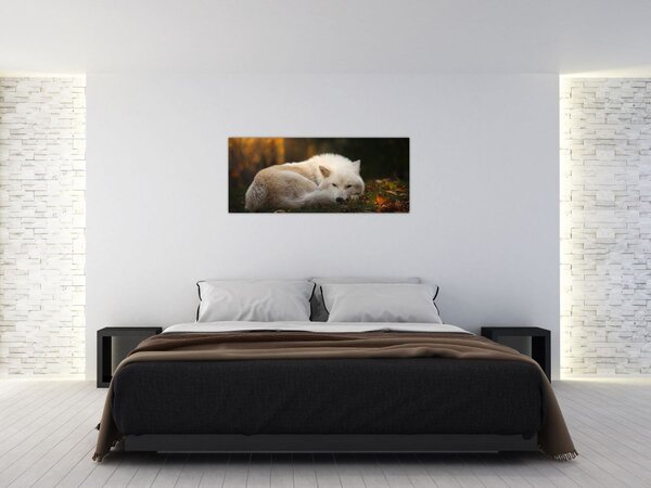 Slika - Vuk koji se odmara (120x50 cm)