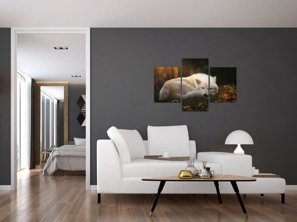 Slika - Vuk koji se odmara (90x60 cm)