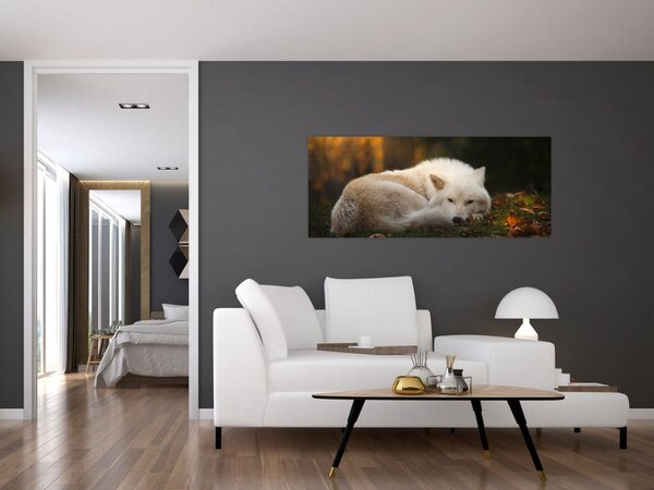 Slika - Vuk koji se odmara (120x50 cm)