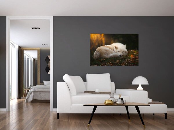 Slika - Vuk koji se odmara (90x60 cm)