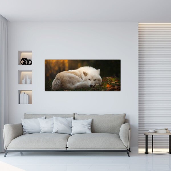 Slika - Vuk koji se odmara (120x50 cm)