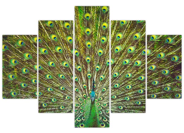Slika - Paun (150x105 cm)