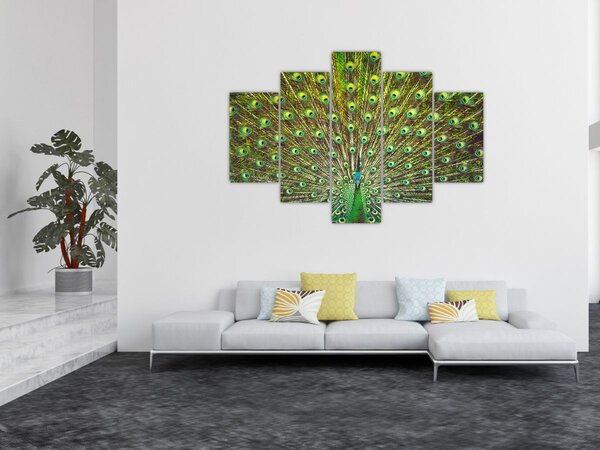 Slika - Paun (150x105 cm)