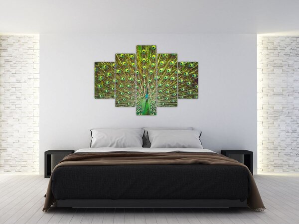 Slika - Paun (150x105 cm)