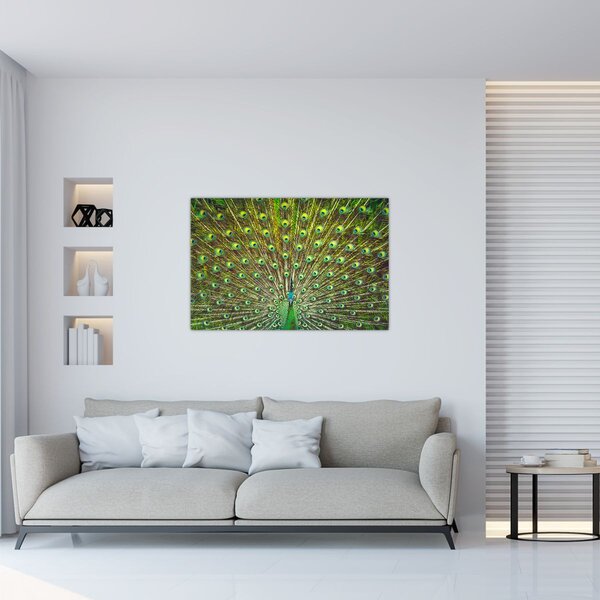 Slika - Paun (90x60 cm)