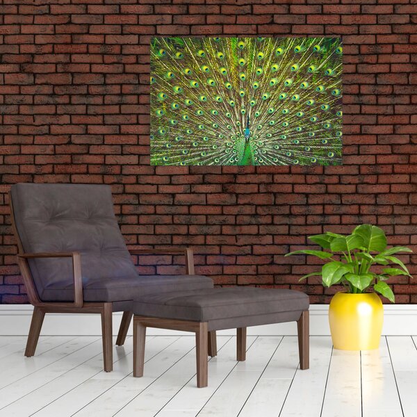 Slika - Paun (90x60 cm)
