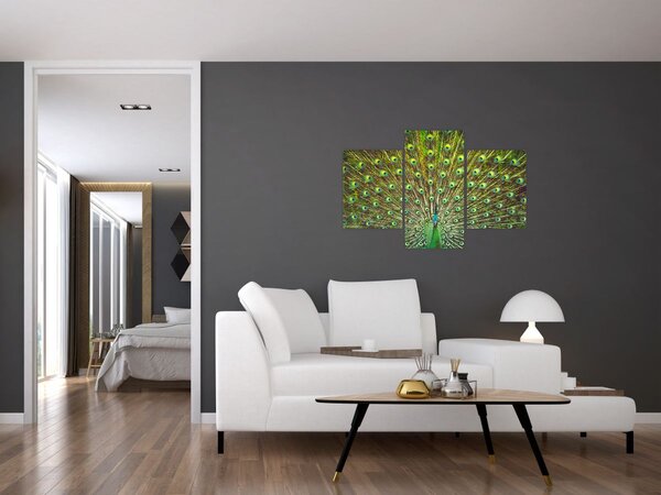 Slika - Paun (90x60 cm)
