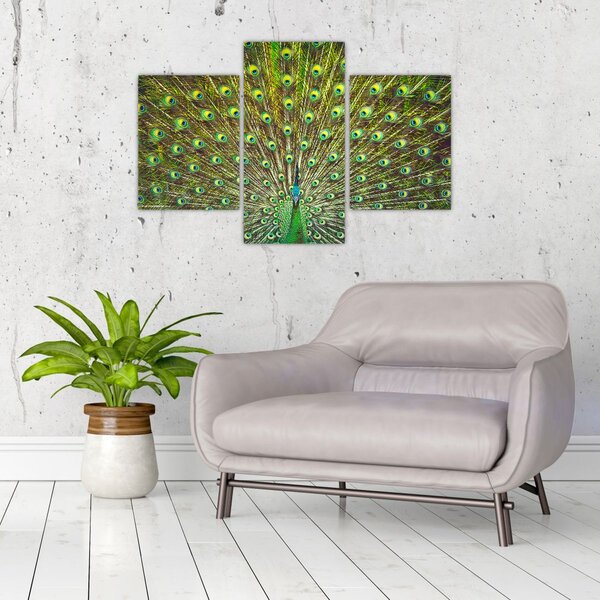 Slika - Paun (90x60 cm)