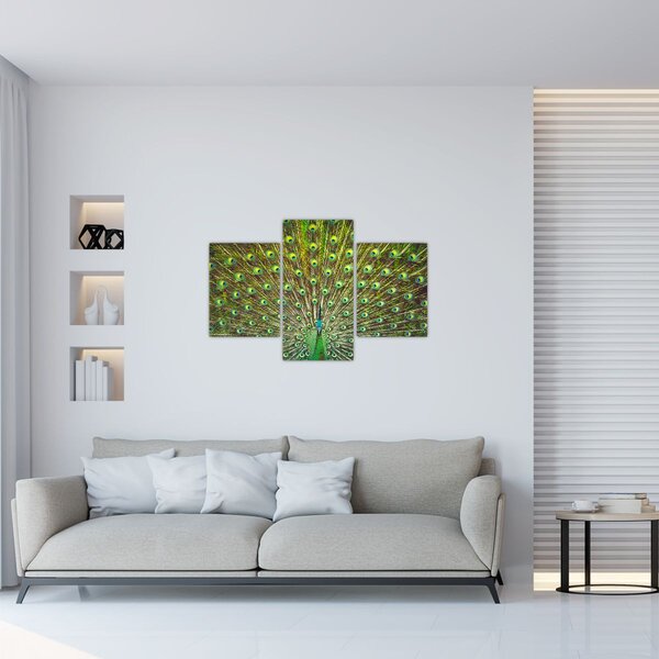 Slika - Paun (90x60 cm)