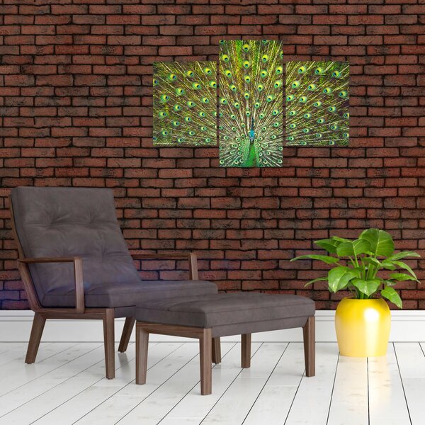 Slika - Paun (90x60 cm)