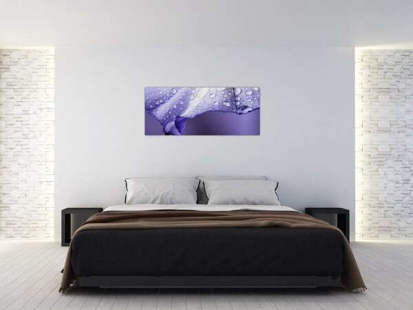 Slika - Latica s kapljicama (120x50 cm)