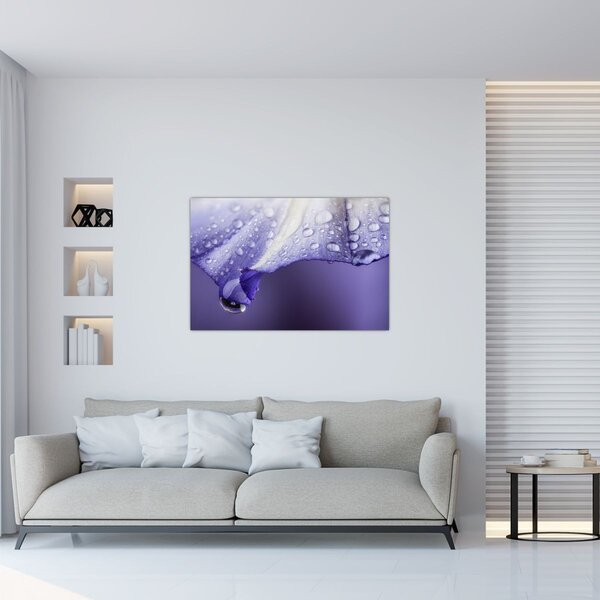 Slika - Latica s kapljicama (90x60 cm)