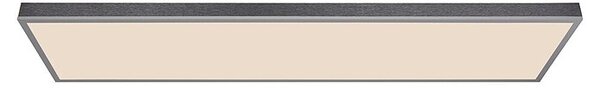 Globo LED panel Doro (36 W, D x Š x V: 1.200 x 300 x 75 mm, Srebrna)