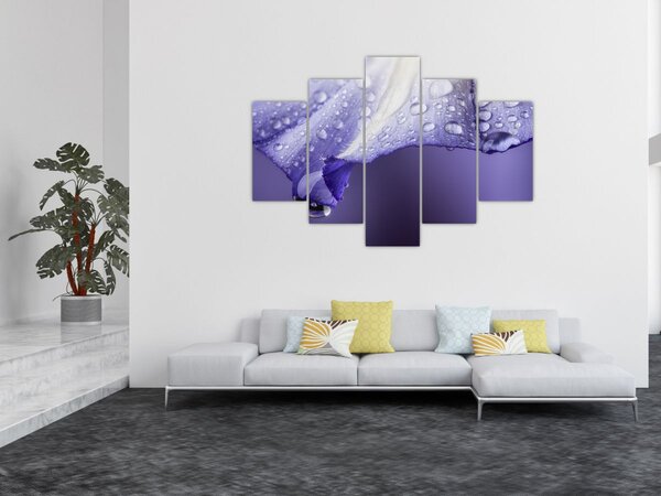 Slika - Latica s kapljicama (150x105 cm)