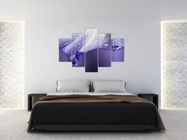 Slika - Latica s kapljicama (150x105 cm)