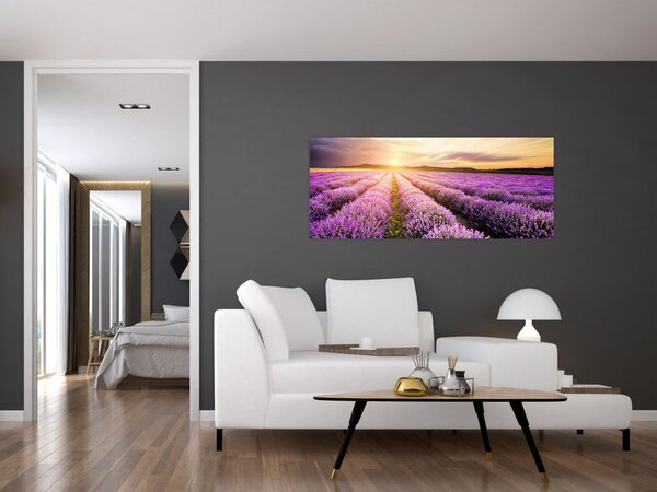 Slika - Izlazak sunca u polju lavande (120x50 cm)
