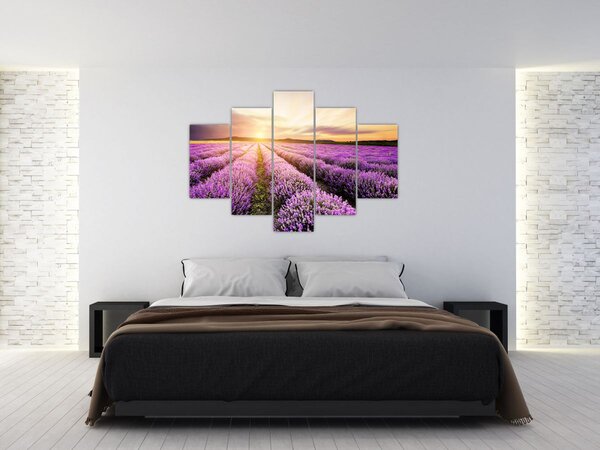 Slika - Izlazak sunca u polju lavande (150x105 cm)