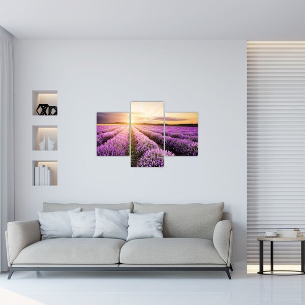 Slika - Izlazak sunca u polju lavande (90x60 cm)