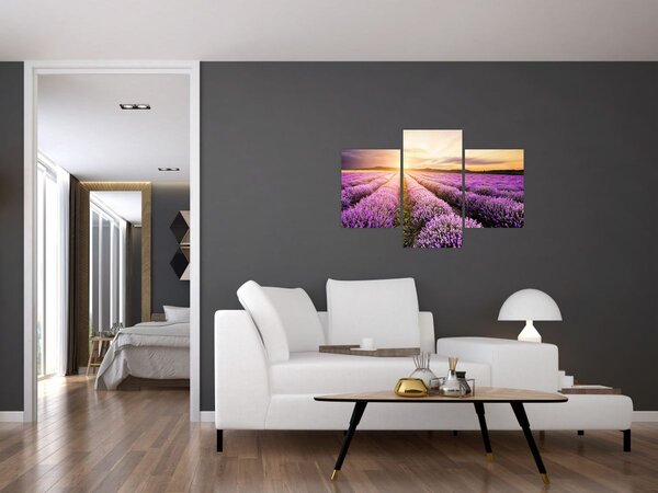 Slika - Izlazak sunca u polju lavande (90x60 cm)