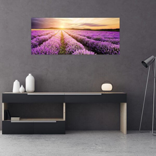 Slika - Izlazak sunca u polju lavande (120x50 cm)
