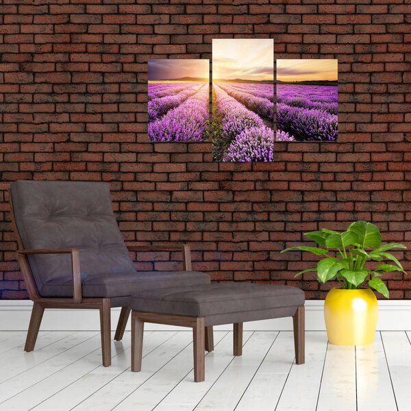 Slika - Izlazak sunca u polju lavande (90x60 cm)