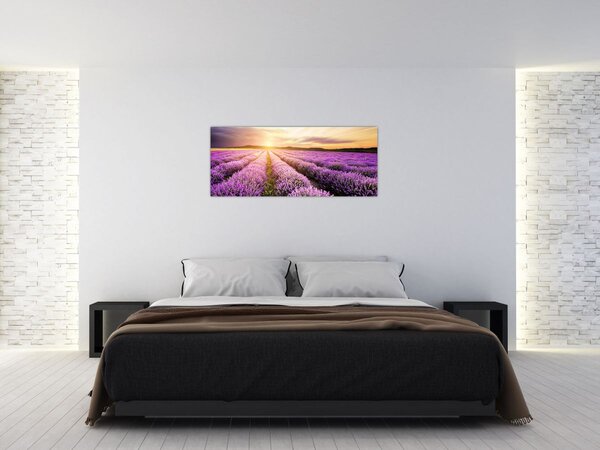 Slika - Izlazak sunca u polju lavande (120x50 cm)