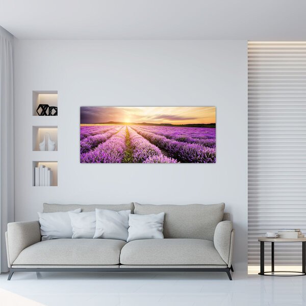 Slika - Izlazak sunca u polju lavande (120x50 cm)