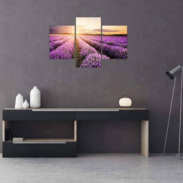 Slika - Izlazak sunca u polju lavande (90x60 cm)