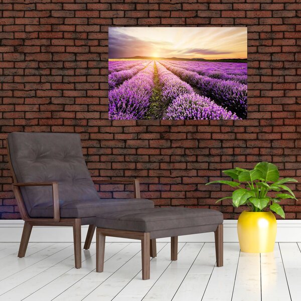 Slika - Izlazak sunca u polju lavande (90x60 cm)