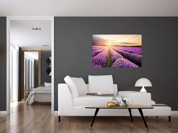 Slika - Izlazak sunca u polju lavande (90x60 cm)
